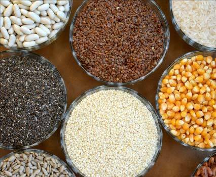 Europe Commodity Protein Market: Rising Across Food, Feed Sectors