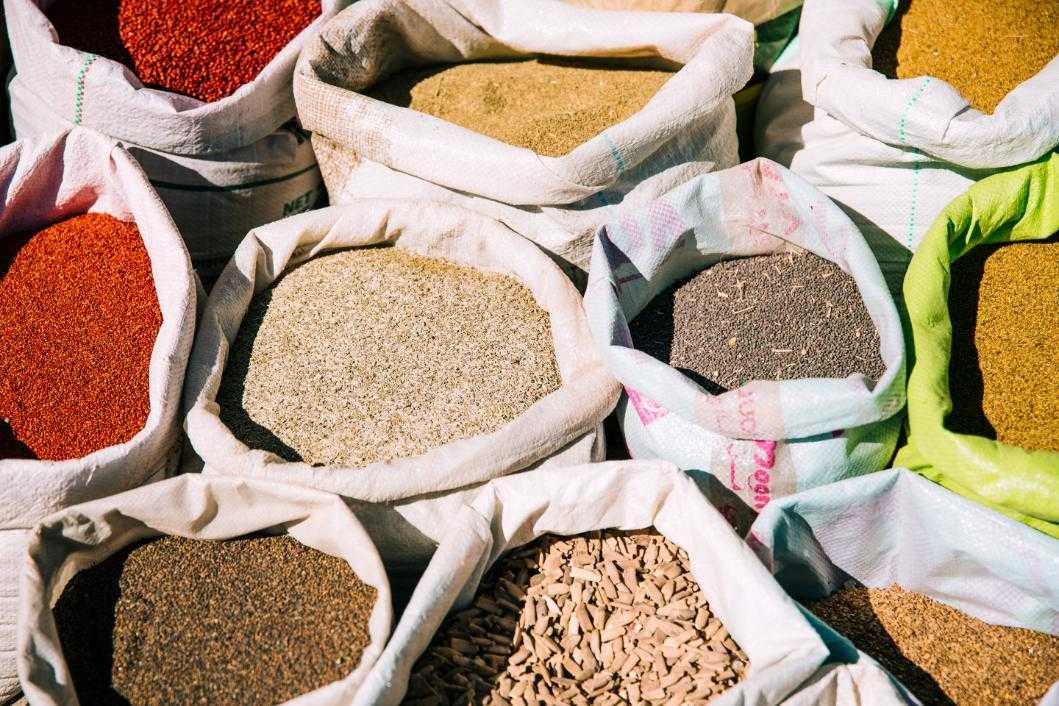 Europe Organic Fertilizers Market Driving Sustainable Agriculture Growth