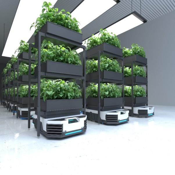 U.S. Vertical Farming Market Driving Urban Food Innovation